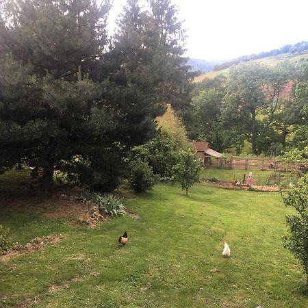 Gites De Gobertier Saint-Alban-d'Ay Εξωτερικό φωτογραφία