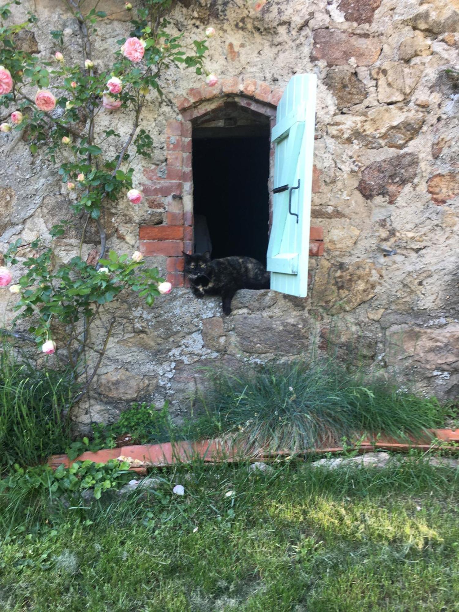 Gites De Gobertier Saint-Alban-d'Ay Εξωτερικό φωτογραφία